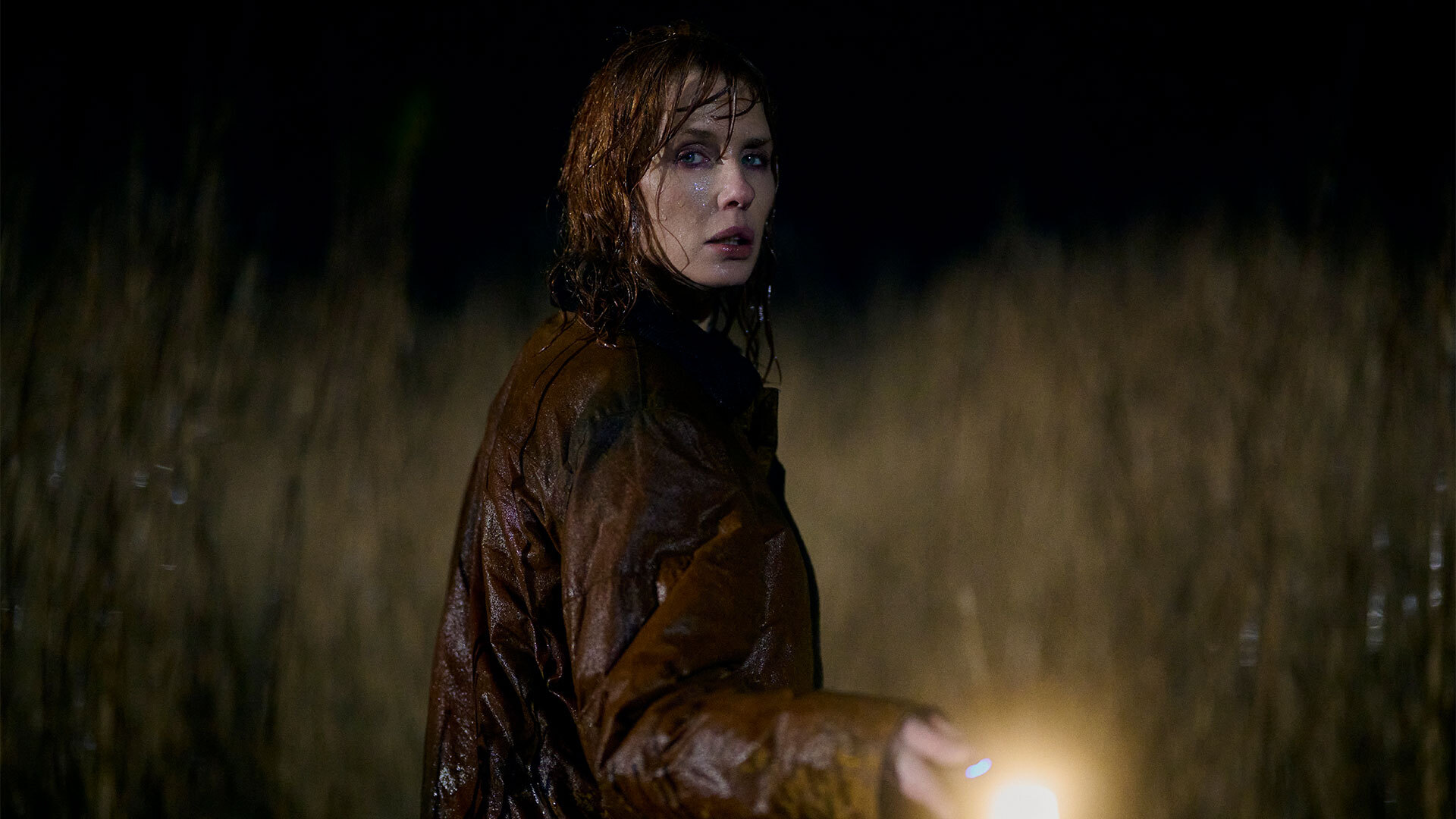 Under the Salt Marsh